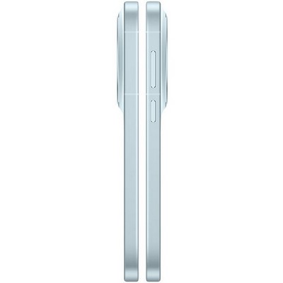 Vivo X300 16/512GB Mist Blue - фото 87153