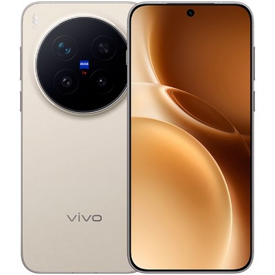 Vivo X300 Pro 16/512GB Wilderness Brown - фото 87195