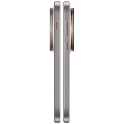 Vivo X300 Pro 16/512GB Wilderness Brown - фото 87198