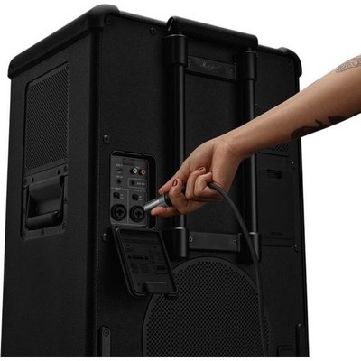 Marshall Bromley 750 Black and Brass - фото 92624