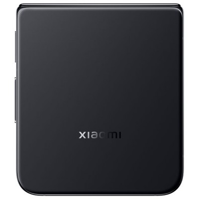 Xiaomi MIX Flip 12/512GB Black - фото 93926