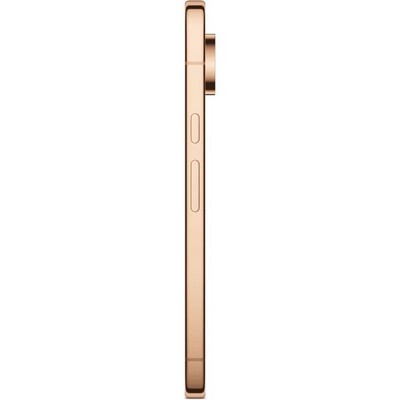 Pixel 11 Pro XL 12/256GB Canyon - фото 103429