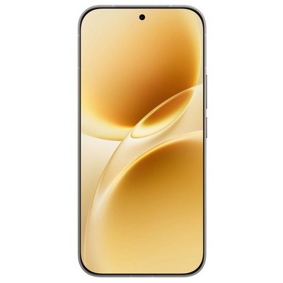 Vivo V70 (V2538) 12/256GB Gray - фото 104398