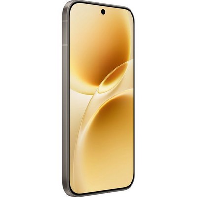 Vivo V70 (V2538) 12/256GB Gray - фото 104400