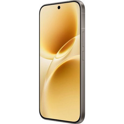 Vivo V70 (V2538) 12/256GB Gray - фото 104401