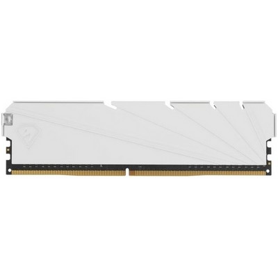 Модуль памяти DDR4 8Gb PC-25600 3200MHz Netac ( NTSSD4P32SP-08W ) - фото 109329