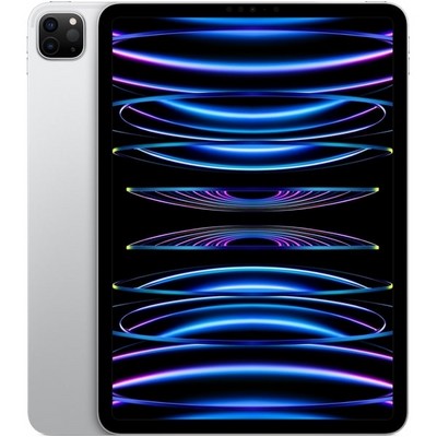 Apple iPad Pro 11 (2022) 256Gb Wi-Fi Silver - фото 49182