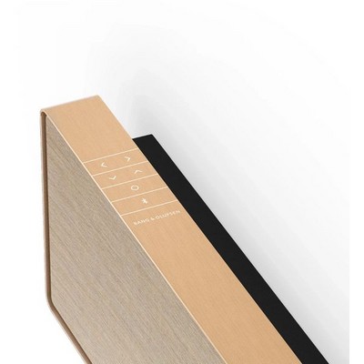 Bang & Olufsen Beosound Stage Gold Tone - фото 72711