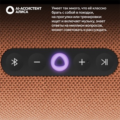 Яндекс Станция Стрит с Алисой, оранжевый - фото 84267