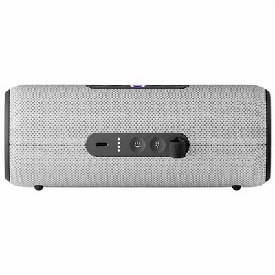 Яндекс Станция Стрит с Алисой, серый - фото 84268 Яндекс Станция Стрит с Алисой, серый - фото 84268