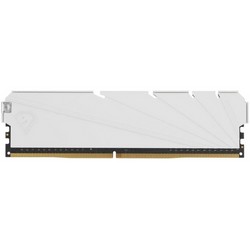 Модуль памяти DDR4 8Gb PC-25600 3200MHz Netac ( NTSSD4P32SP-08W )
