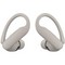 Beats Powerbeats Pro 2 Quick Sand - фото 88091