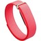 Google Fitbit Air Berry - фото 96517