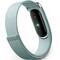 Google Fitbit Air Fog - фото 96524