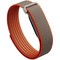 Google Fitbit Air Rye by Stephen Curry - фото 96702