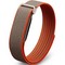 Google Fitbit Air Rye by Stephen Curry - фото 96705