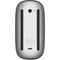 Беспроводная мышь Apple Magic Mouse (USB-C) Black - фото 97241