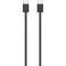 Беспроводная мышь Apple Magic Mouse (USB-C) Black - фото 97243