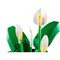 LEGO Botanical Peace Lily (11504) - фото 102601
