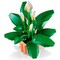 LEGO Botanical Peace Lily (11504) - фото 102602