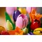 LEGO Botanical Tulip Bouquet (11501) - фото 102619