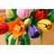 LEGO Botanical Tulip Bouquet (11501) - фото 102620