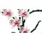 LEGO Icons Orchid (10311) - фото 102921
