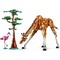 LEGO Creator Wild Safari Animals (31150) - фото 102723