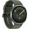 Samsung Galaxy Watch9 44mm Silver - фото 103267