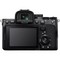 Sony Alpha A7 IV Body Black - фото 104162