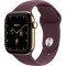 Apple Watch Series 12 42mm GPS + Cellular Radiant Gold Titanium Case with Burgundy Sport Band SM/ML - фото 105934