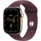 Apple Watch Series 12 46mm GPS + Cellular Radiant Gold Titanium Case with Burgundy Sport Band SM/ML - фото 105936