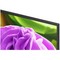 LG 32LB650B6LA.ARU (2026) 32" - фото 108361