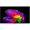 LG OLED55G6RLA.ARU (2026) 55" - фото 108438