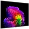 LG OLED65G6RLA.ARU (2026) 65" - фото 108487