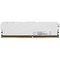 Модуль памяти DDR4 8Gb PC-25600 3200MHz Netac ( NTSSD4P32SP-08W ) - фото 110952