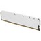 Модуль памяти DDR4 8Gb PC-25600 3200MHz Netac ( NTSSD4P32SP-08W ) - фото 110953