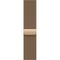 Apple Watch Series 11, 46 mm, S-M/M-L Gold Titanium Milanese Loop - фото 83411 Apple Watch Series 11, 46 mm, S-M/M-L Gold Titanium Milanese Loop - фото 83411